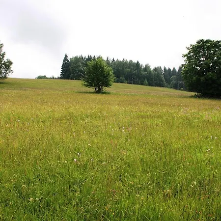 Gaestehaus Harzglueck