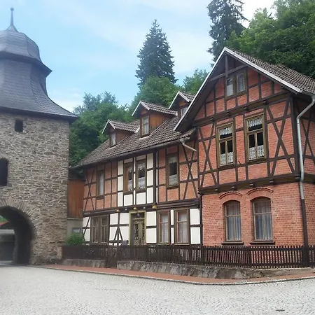 Gaestehaus Harzglueck 3* בראונלאגה